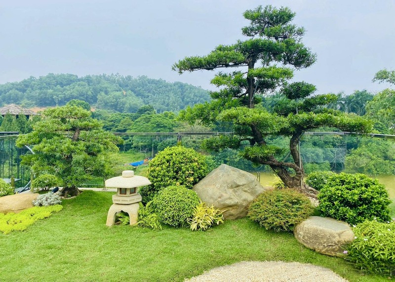 Tiểu cảnh sân vườn trước nhà bằng đá